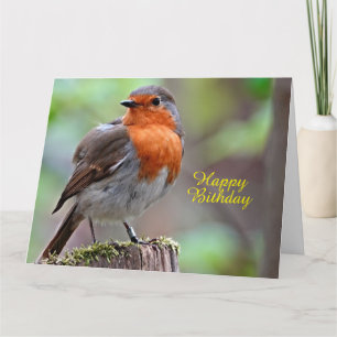 Robin RefBrust Karte