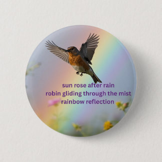 Robin Regenbogen Button