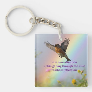 Robin Regenbogen Schlüsselanhänger