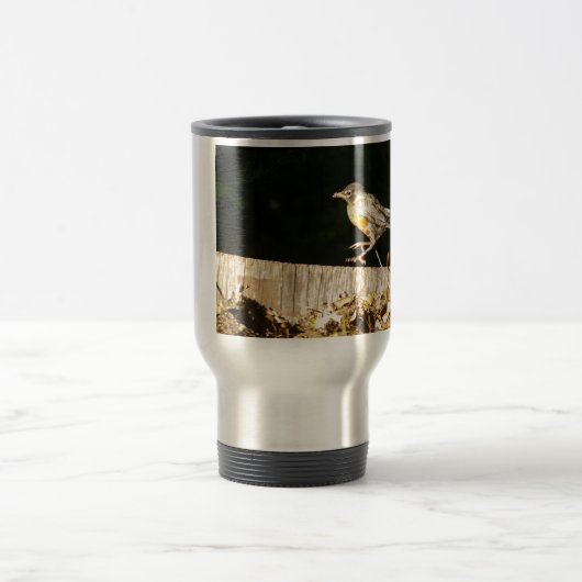 Robin Reisebecher (Mittel)