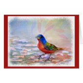 ROBIN-ROBIN-ROBUSSE (Vorderseite (Horizontal))