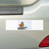 Robin-Rot-Brust Autoaufkleber (Auf Auto)