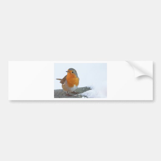 Robin-Rot-Brust Autoaufkleber (Vorne)