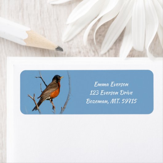 Robin Rücksendeadresse (Insitu)