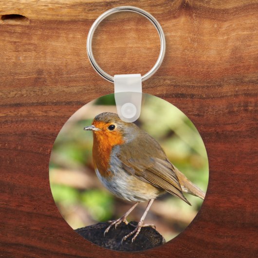 Robin Schlüsselanhänger (Vorderseite)