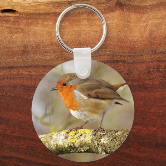 Robin Schlüsselanhänger (Vorderseite)