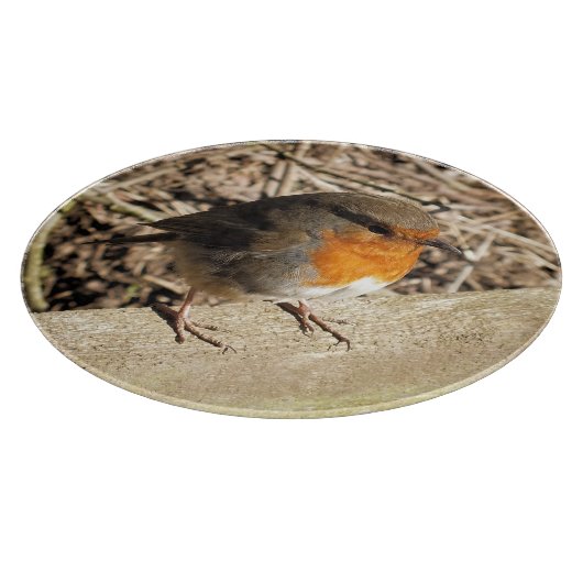 ROBIN SCHNEIDEBRETT (Ecke)