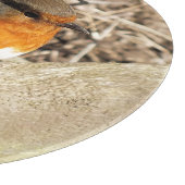 ROBIN SCHNEIDEBRETT (Ecke)