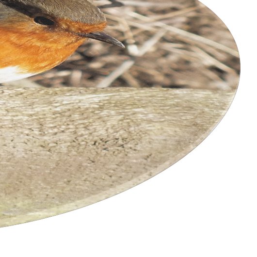 ROBIN SCHNEIDEBRETT (Ecke)