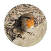 ROBIN SCHNEIDEBRETT (Vorderseite)