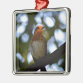 Robin Silbernes Ornament (Links)