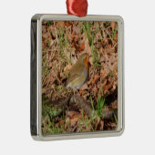 Robin Silbernes Ornament (Rechts)