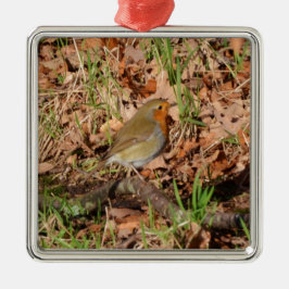 Robin Silbernes Ornament
