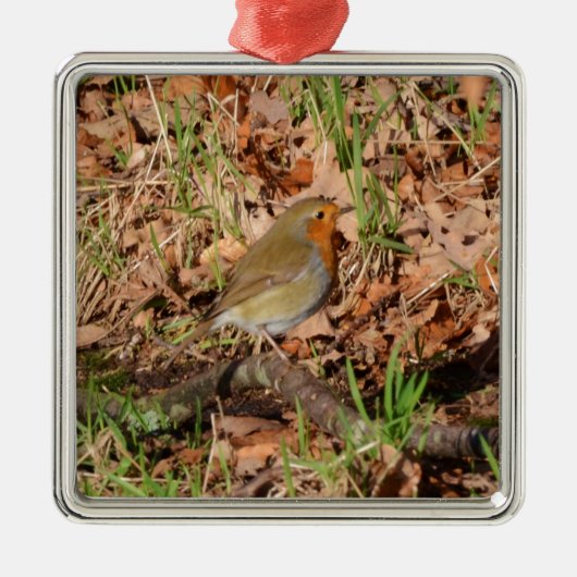 Robin Silbernes Ornament (Vorne)