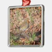 Robin Silbernes Ornament (Links)