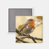 Robin singend magnet (Vorderseite/Rückseite)