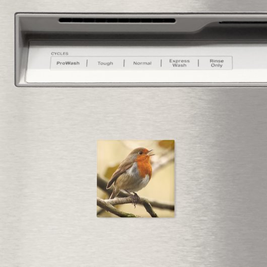 Robin singend magnet (In Situ (Geschirrspüler))