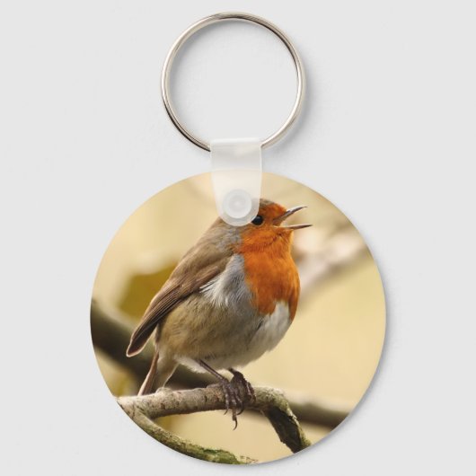 Robin singend schlüsselanhänger (Vorderseite)