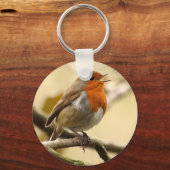 Robin singend schlüsselanhänger (Vorderseite)