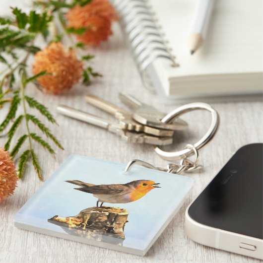 Robin singing schlüsselanhänger (Vorderseite rechts)