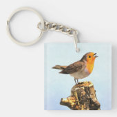 Robin singing  schlüsselanhänger (Vorderseite)