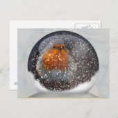 Robin Snowglobe Postcard Postkarte (Vorne/Hinten)