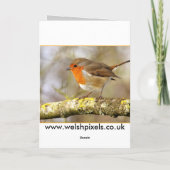 Robin Song Card Karte (Rückseite)