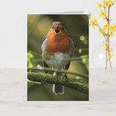 Robin Song Card Karte (Gelbe Blume)