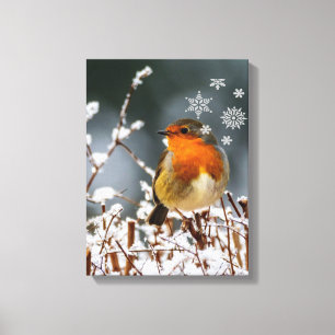 Robin Songbird mit Snowflakes Canvas Print Leinwanddruck