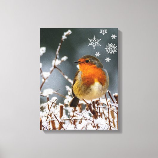 Robin Songbird mit Snowflakes Canvas Print Leinwanddruck (Vorderseite)