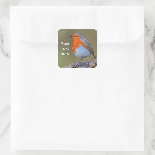 Robin Square Sticker (Tasche)
