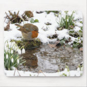 Robin Staring at its Reflection in Puddle Mousepad (Vorne)