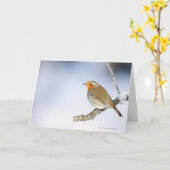 Robin steht im Winter auf einem Ast Karte (Gelbe Blume)