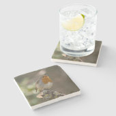 Robin Steinuntersetzer (Seitenansicht)