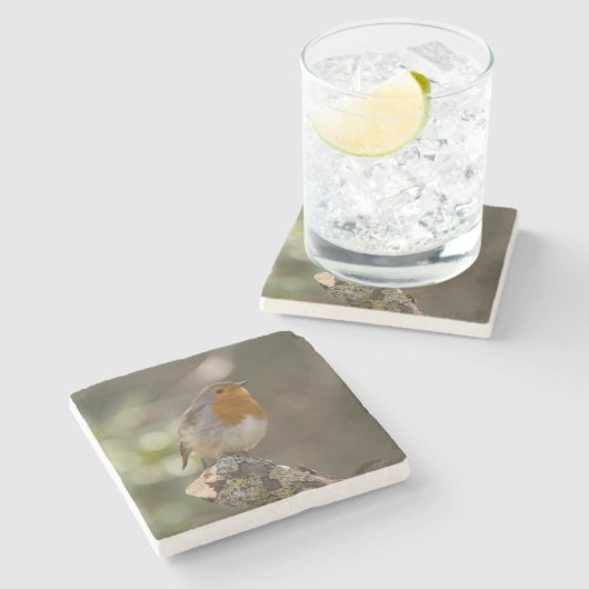 Robin Steinuntersetzer (Seitenansicht)