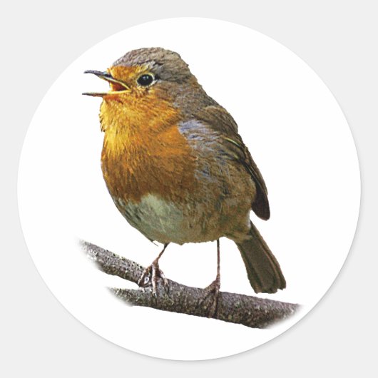 Robin Sticker (Vorderseite)