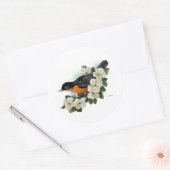 Robin Stickers (Umschlag)