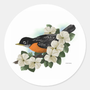 Robin Stickers