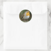 Robin Stickers (Tasche)