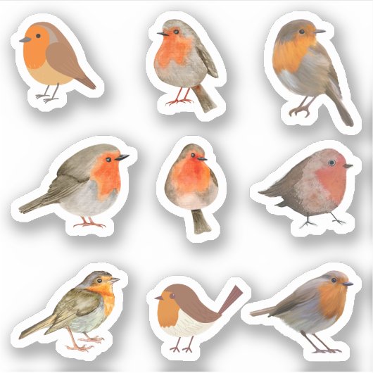 Robin Stickers Aufkleber (Vorderseite)