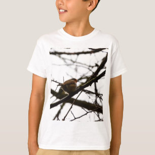 Robin T-Shirt