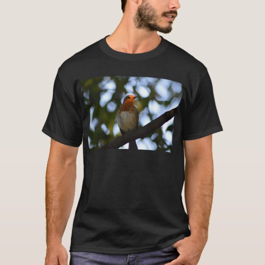 Robin T-Shirt (Vorderseite)