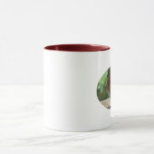 Robin Tasse (Zentrum)