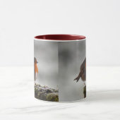 Robin Tasse (Zentrum)