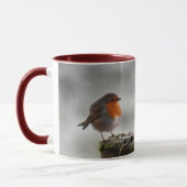 Robin Tasse (Links)