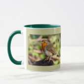 Robin-Tasse Tasse (Links)