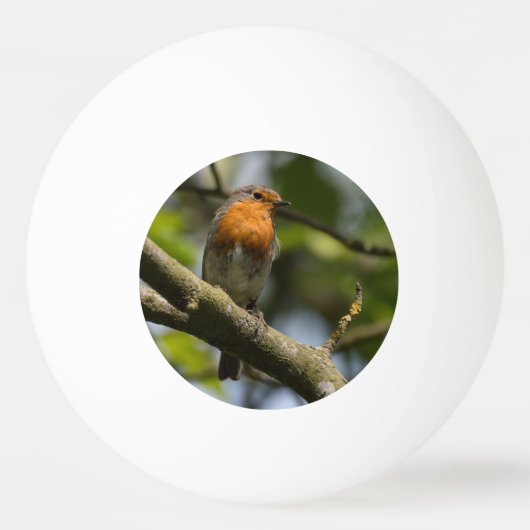 Robin Tischtennisball (Rückseite)