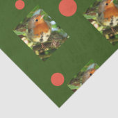 Robin Tissue Paper Seidenpapier (Detail)