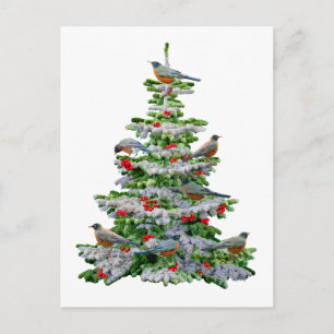 Robin Tree Postkarte