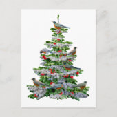 Robin Tree Postkarte (Vorderseite)